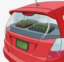 Mini-Treibhaus an einer Heckscheibe im
                  Auto, Zeichnung