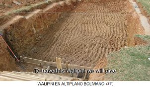Walipini im Bau,
                              die Grube mit den W�nden, Bolivien