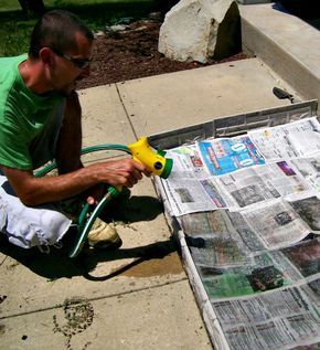 Put newspaper against weeds and pour it
                  with water: