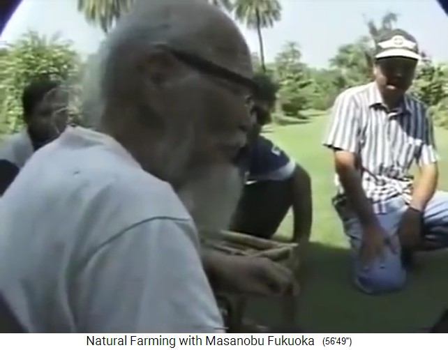 Permakultur-Pionier Masanobu Fukuoka predigt
                    gegen den sterilen, englischen Rasen