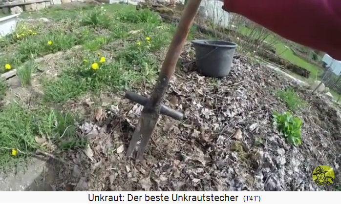 Unkrautstecher:
                  Ampferstecher gegen Pfahlwurzeln der Sauerampfer, kann
                  auch hervorragend gegen L�wenzahn verwendet werden