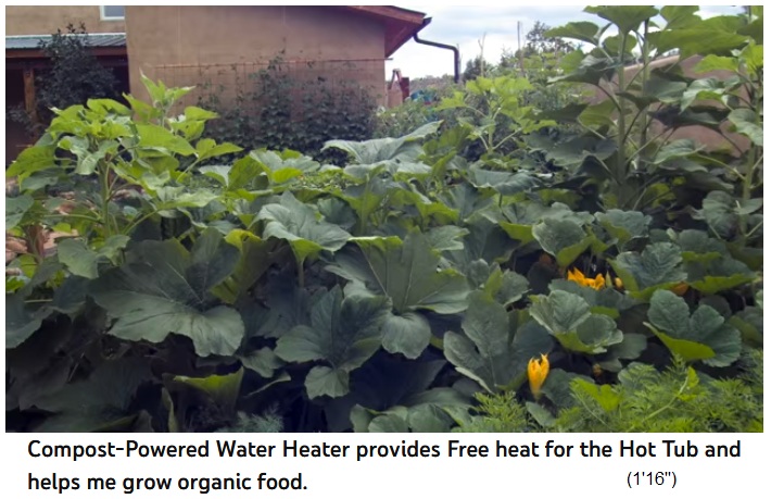 Con
                      el compost de corteza, las hortalizas del huerto
                      crecen cada vez m�s fuertes