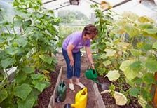 Regar
                  las flores con una regadera