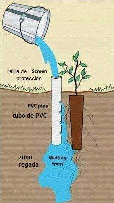 Tuber�a de agua para regar un
                    plant�n de �rbol en zonas secas, esquema, pero la
                    tuber�a no es suficiente