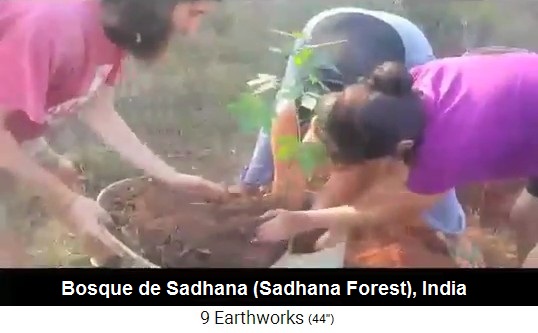 Bosque
                    de Sadhana en la regi�n de Auroville en India, ponen
                    un arbolito (plant�n)
