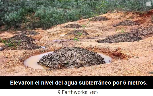 Bosque de Sadhana
                    cerca de Auroville en India, conjunto de �rboles con
                    mantillo de madera y anillo de agua alrededor