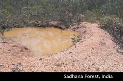 Sistema de
                    diques sale como sistema de caminos para el
                    desarrollo forestal en el emplazamiento de
                    permacultura del Bosque Sadhana cerca de Auroville
                    en la India