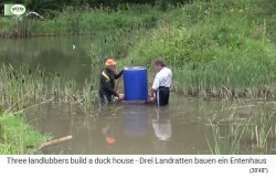 Enteninsel mit Entenh�uschen 09 mit
                        Regenfass mit Sand drin als Auftrieb