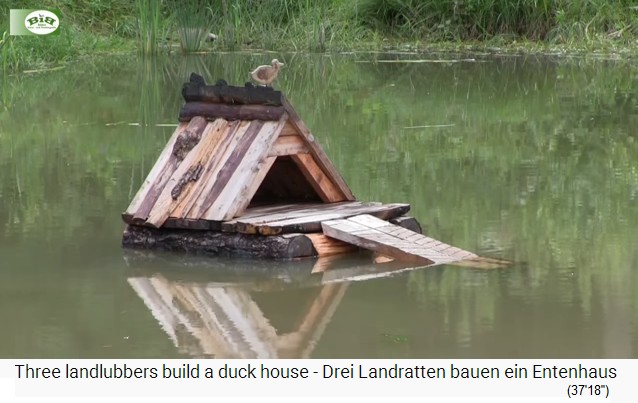 Enteninsel mit Entenh�uschen 09 mit
                        Regenfass mit Sand drin als Auftrieb 02