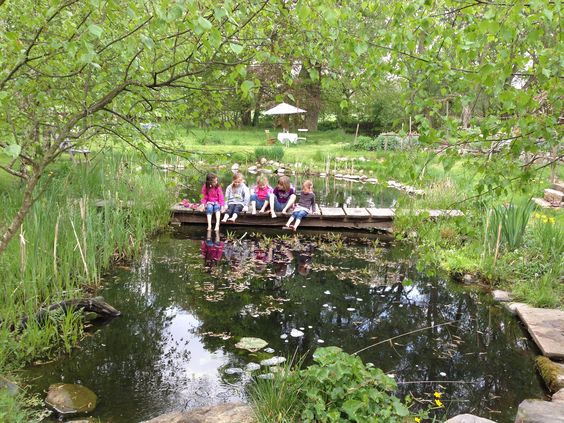 Molchteich in Maddau,
                    Niedersachsen, Deutschland