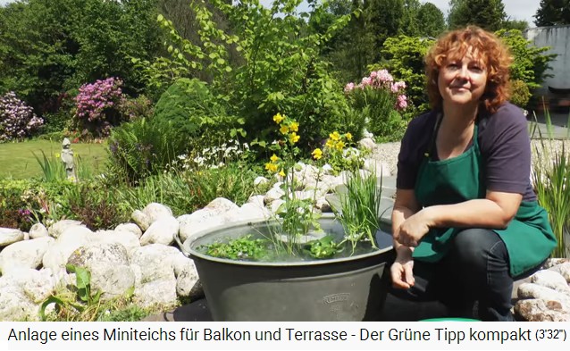 Der
                    Mini-Teich ist mit Wasser aufgef�llt