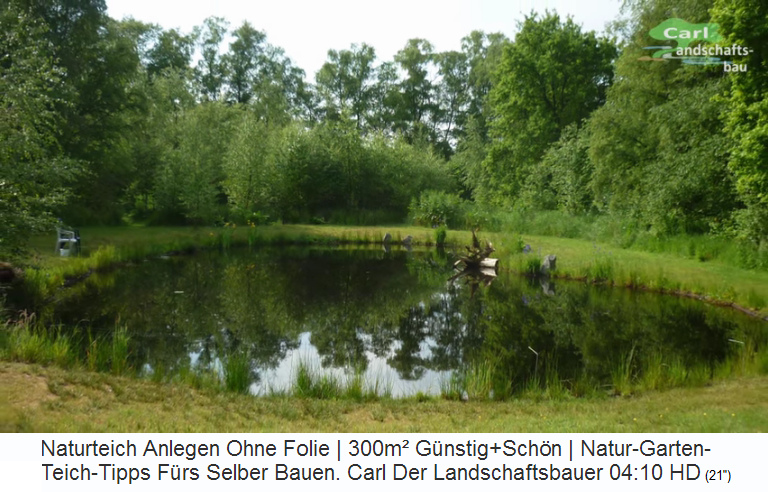 Teich mit 300m2 Oberfl�che mit
                    kaum Schwankungen