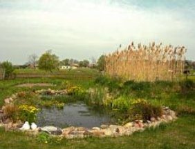 Teich mit Schilfteich
                    (biologische Kl�ranlage) nebendran