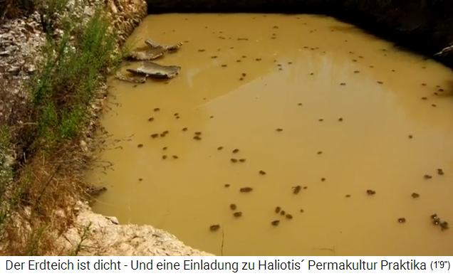 Der Erdteich in Portugal ist in 4 Jahren
                    dicht