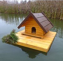 Enteninsel
                    mit Entenhaus 01