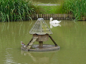 Enteninsel mit Entenh�uschen fest
                    montiert mit Rampen und Spiel f�r hohen oder
                    niedrigen Wasserstand