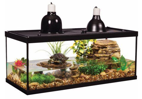 Wasserschildkr�tenaquarium von Walmart 01