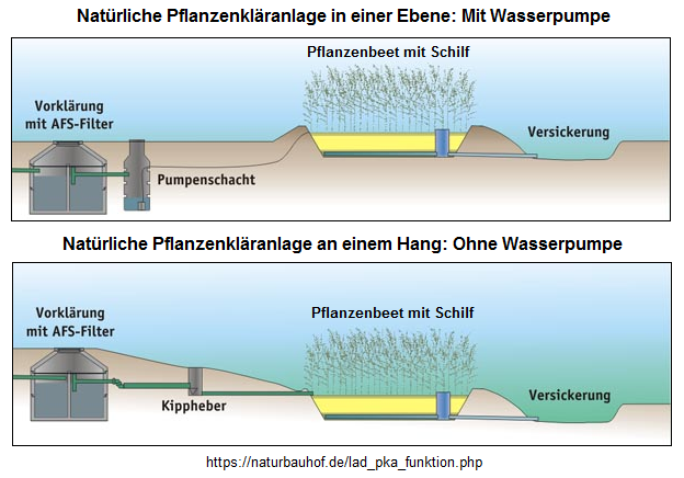 Nat�rliche
                      Pflanzenkl�ranlage in der Ebene und am Hang mit
                      der Kl�rpflanze Schilf - Schema