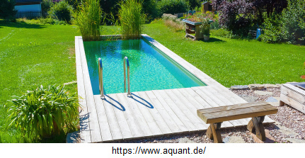 Swimming Pool mit
                      Kl�rpflanze Schilf