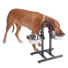 Small adjustable dog water
                    fountain, that won't last long...