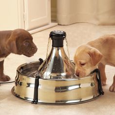 Small dog fountain with pump "PetSafe
                    drinkwell", with filter and easy to refill