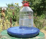 Bird drinker with a plastic bottle
              with a slit, placed in a bowl