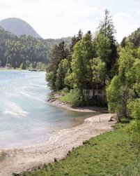 Shallow shores at Hintersteiner Lake,
                    Tyrol, Austria