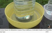 Bird drinker with a plastic bottle
              with a slit, placed in a bowl