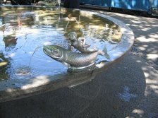 Fountains of
                            Zurich: at Bellevue Square with fish figure