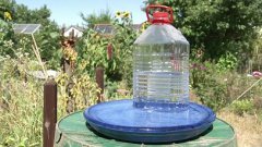 ird waterer with a plastic
                  bottle with a slot, set up in a bowl