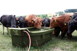 Water
              trough with hose connection