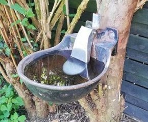 automatic individual cattle drinking troughs