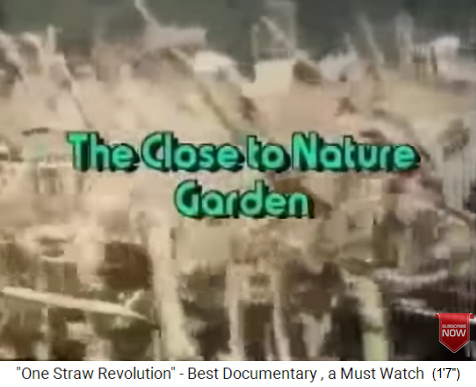 Filmtitel "Close to nature garden"