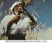 Fukuoka
                    en un campo de cebada