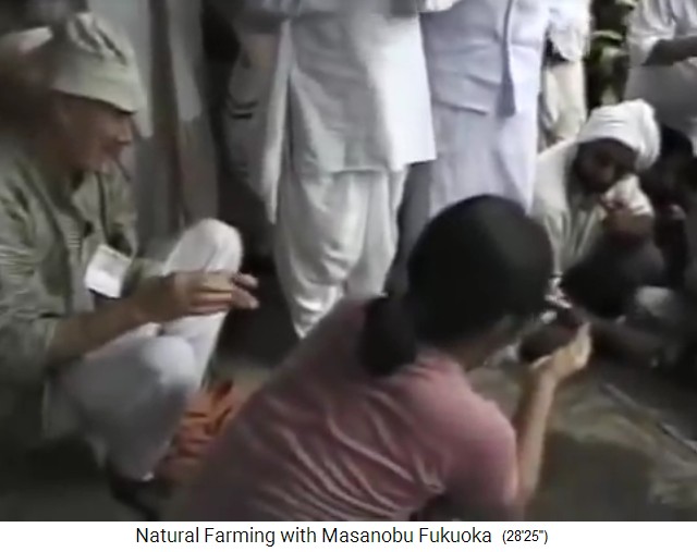 Taller
                    en India: se junta tierra arcillosa y semillas
                    formando bolas de semillas 01