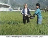 Estudiantes en la
                    granja org�nica de Fukuoka en Shikoku (Jap�n)
                    distribuyen bolas de semillas justo antes de la
                    cosecha