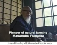 Masanobu Fukuoka en 1998 aproximadamente