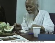 Fukuoka recolecta semillas 03