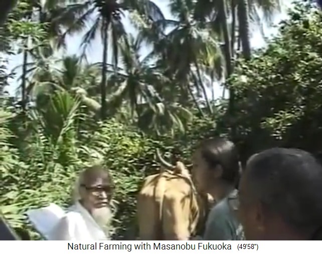 Fukuoka en su tour por
                          el jard�n del bosque org�nico del Sr. Save en
                          Valsad al norte de Mumbai