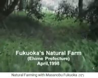 T�tulo de la pel�cula 1: La granja
                    org�nica de Fukuoka (Fukuoka's Natural Farm) en el
                    distrito de Ehime [en la isla de Shikoku], Jap�n,
                    abril de 1998
