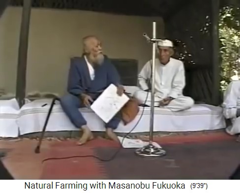 Taller
                  con Fukuoka en India 1997