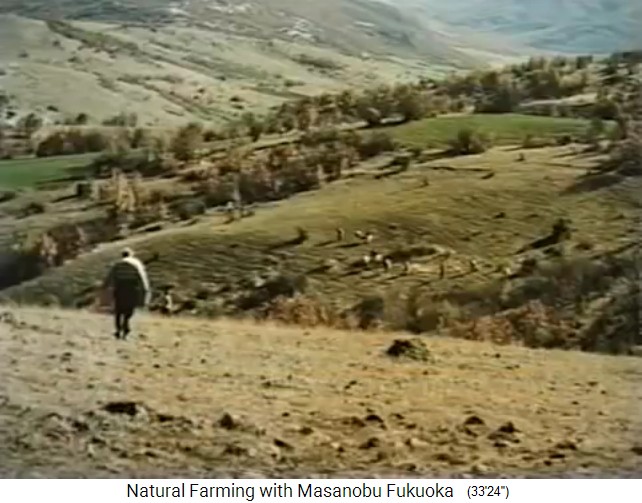 Fukuoka in Greece: Seedball
                  sowing in Edessa, Greece, March 1998 2