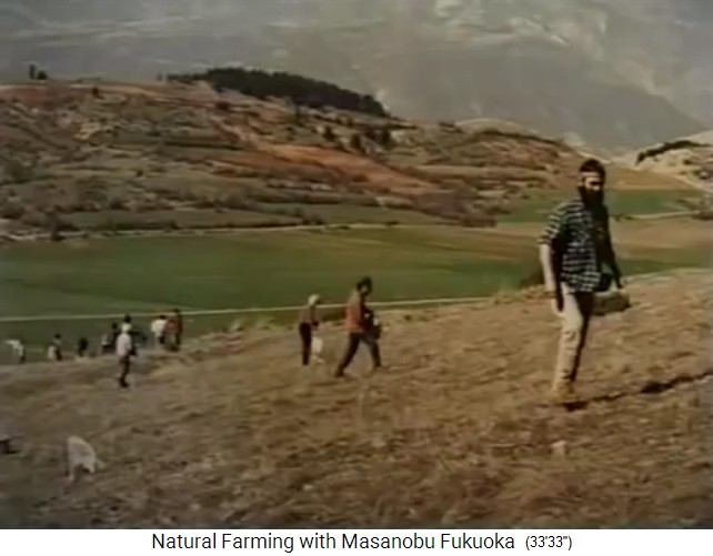 Fukuoka in Greece:
                    Seedball sowing in Edessa, Greece, March 1998 3