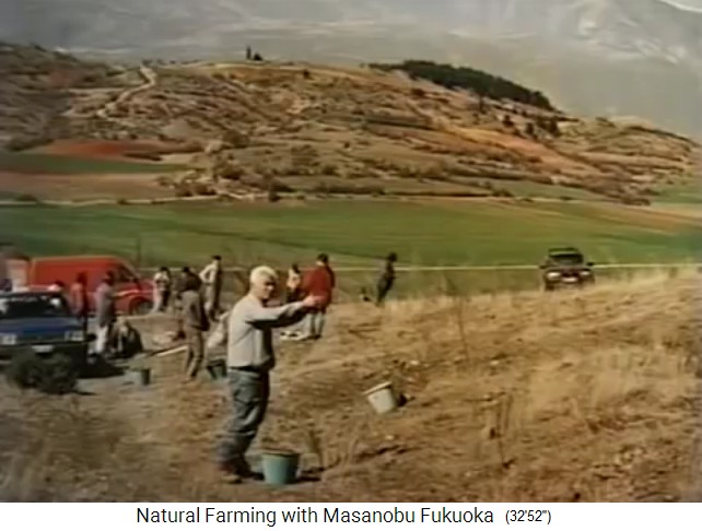 Fukuoka in Greece:
                    Seedball sowing in Edessa, Greece, March 1998 1