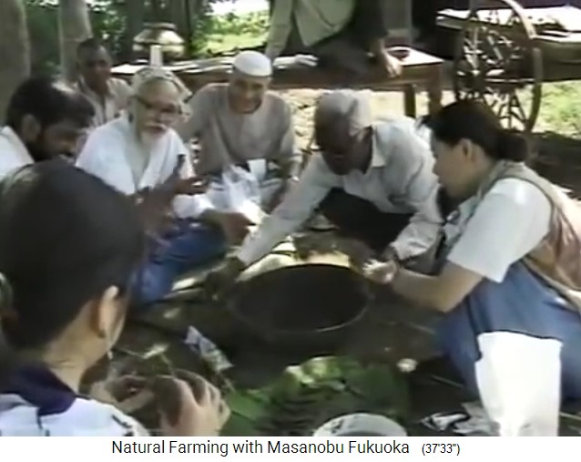 Fukuoka en India 1997: un grupo hace
                    bolas de semillas