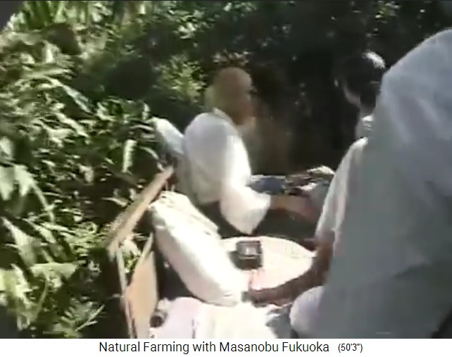 Fukuoka en su tour por el jard�n forestal
                  org�nico del Sr. Save en Valsad al norte de Mumbai 2