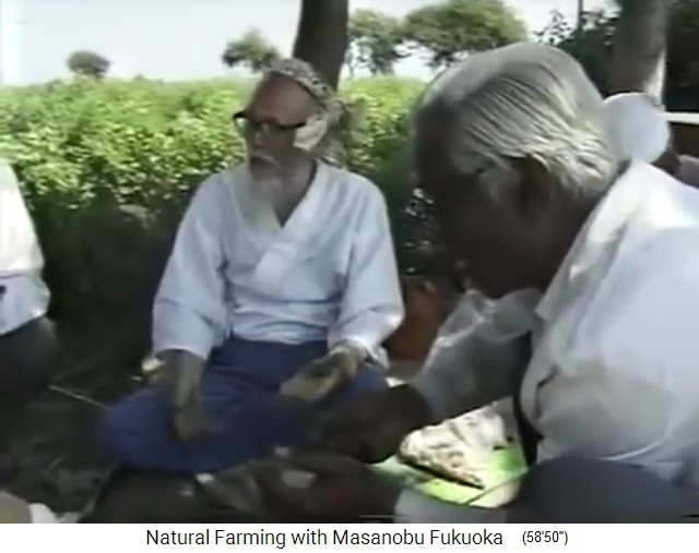 India 1997: Fukuoka with seed balls