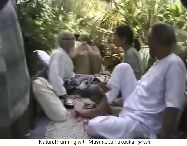 Fukuoka en su tour por el jard�n forestal
                    org�nico del Sr. Save en Valsad al norte de Mumbai
                    4
