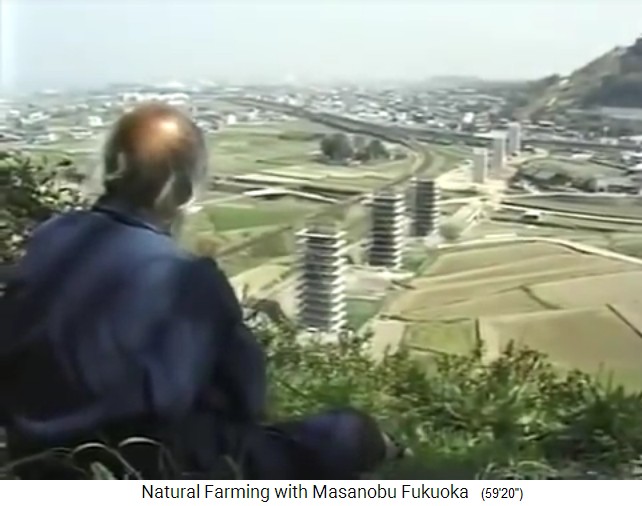 Fukuoka von la vista a su granja en Jap�n, el
                    ferrocarril de tr�nsito r�pido en construcci�n
                    cruzando su territorio nunca se complet�