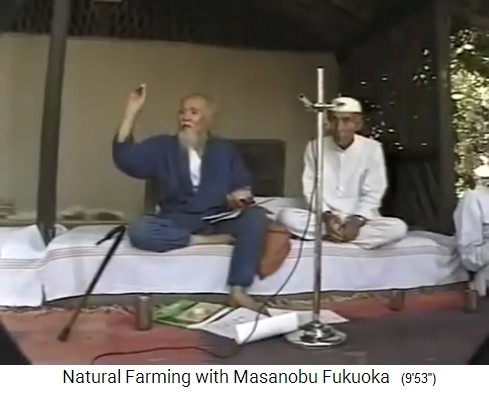 Taller con Fukuoka con bolas de
                    semillas en India 1997